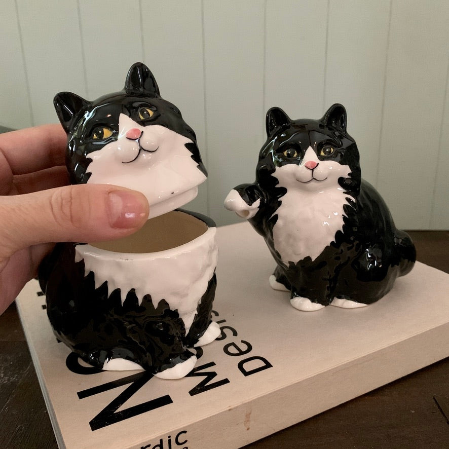 CINDY SUGAWARA ◇ Bicolor cat sugar&milk set